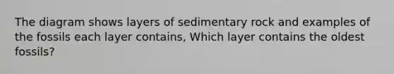 The diagram shows layers of sedimentary rock and examples of the fossils each layer contains, Which layer contains the oldest fossils?