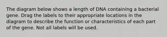 The diagram below shows a length of DNA containing a bacterial gene. Drag the labels to their appropriate locations in the diagram to describe the function or characteristics of each part of the gene. Not all labels will be used.