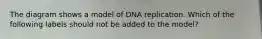 The diagram shows a model of DNA replication. Which of the following labels should not be added to the model?