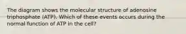 The diagram shows the molecular structure of adenosine triphosphate (ATP). Which of these events occurs during the normal function of ATP in the cell?