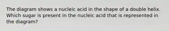 The diagram shows a nucleic acid in the shape of a double helix. Which sugar is present in the nucleic acid that is represented in the diagram?