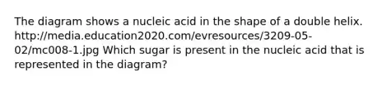 The diagram shows a nucleic acid in the shape of a double helix. http://media.education2020.com/evresources/3209-05-02/mc008-1.jpg Which sugar is present in the nucleic acid that is represented in the diagram?