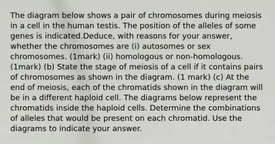 The diagram below shows a pair of chromosomes during meiosis in a cell in the human testis. The position of the alleles of some genes is indicated.Deduce, with reasons for your answer, whether the chromosomes are (i) autosomes or sex chromosomes. (1mark) (ii) homologous or non-homologous. (1mark) (b) State the stage of meiosis of a cell if it contains pairs of chromosomes as shown in the diagram. (1 mark) (c) At the end of meiosis, each of the chromatids shown in the diagram will be in a different haploid cell. The diagrams below represent the chromatids inside the haploid cells. Determine the combinations of alleles that would be present on each chromatid. Use the diagrams to indicate your answer.