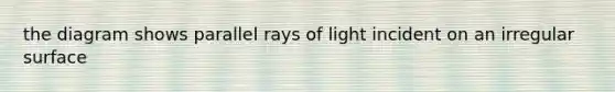 the diagram shows parallel rays of light incident on an irregular surface