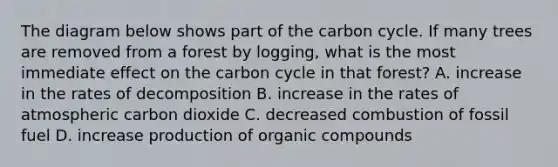 The diagram below shows part of <a href='https://www.questionai.com/knowledge/kMvxsmmBPd-the-carbon-cycle' class='anchor-knowledge'>the carbon cycle</a>. If many trees are removed from a forest by logging, what is the most immediate effect on the carbon cycle in that forest? A. increase in the rates of decomposition B. increase in the rates of atmospheric carbon dioxide C. decreased combustion of fossil fuel D. increase production of <a href='https://www.questionai.com/knowledge/kSg4ucUAKW-organic-compounds' class='anchor-knowledge'>organic compounds</a>