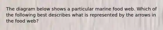 The diagram below shows a particular marine food web. Which of the following best describes what is represented by the arrows in the food web?