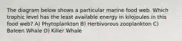 The diagram below shows a particular marine food web. Which trophic level has the least available energy in kilojoules in this food web? A) Phytoplankton B) Herbivorous zooplankton C) Baleen Whale D) Killer Whale