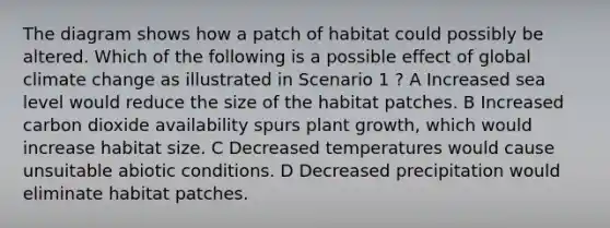 The diagram shows how a patch of habitat could possibly be altered. Which of the following is a possible effect of global climate change as illustrated in Scenario 1 ? A Increased sea level would reduce the size of the habitat patches. B Increased carbon dioxide availability spurs plant growth, which would increase habitat size. C Decreased temperatures would cause unsuitable abiotic conditions. D Decreased precipitation would eliminate habitat patches.