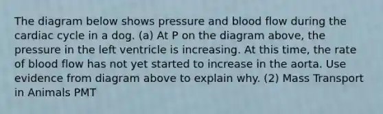 The diagram below shows pressure and blood flow during the cardiac cycle in a dog. (a) At P on the diagram above, the pressure in the left ventricle is increasing. At this time, the rate of blood flow has not yet started to increase in the aorta. Use evidence from diagram above to explain why. (2) Mass Transport in Animals PMT