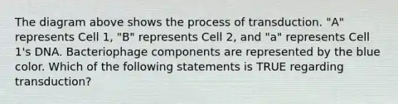 The diagram above shows the process of transduction. "A" represents Cell 1, "B" represents Cell 2, and "a" represents Cell 1's DNA. Bacteriophage components are represented by the blue color. Which of the following statements is TRUE regarding transduction?