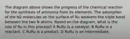 The diagram above shows the progress of the chemical reaction for the synthesis of ammonia from its elements. The adsorption of the N2 molecules on the surface of Ru weakens the triple bond between the two N atoms. Based on the diagram, what is the role of Ru in this process? A RuRu is a catalyst. B RuRu is a reactant. C RuRu is a product. D RuRu is an intermediate.