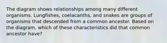 The diagram shows relationships among many different organisms. Lungfishes, coelacanths, and snakes are groups of organisms that descended from a common ancestor. Based on the diagram, which of these characteristics did that common ancestor have?