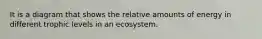 It is a diagram that shows the relative amounts of energy in different trophic levels in an ecosystem.