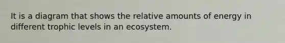 It is a diagram that shows the relative amounts of energy in different trophic levels in an ecosystem.