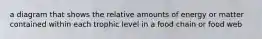 a diagram that shows the relative amounts of energy or matter contained within each trophic level in a food chain or food web