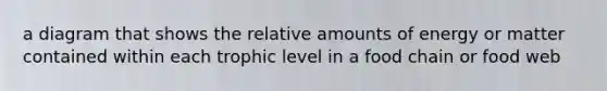 a diagram that shows the relative amounts of energy or matter contained within each trophic level in a food chain or food web