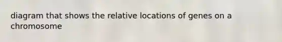 diagram that shows the relative locations of genes on a chromosome