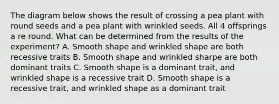 The diagram below shows the result of crossing a pea plant with round seeds and a pea plant with wrinkled seeds. All 4 offsprings a re round. What can be determined from the results of the experiment? A. Smooth shape and wrinkled shape are both recessive traits B. Smooth shape and wrinkled sharpe are both dominant traits C. Smooth shape is a dominant trait, and wrinkled shape is a recessive trait D. Smooth shape is a recessive trait, and wrinkled shape as a dominant trait