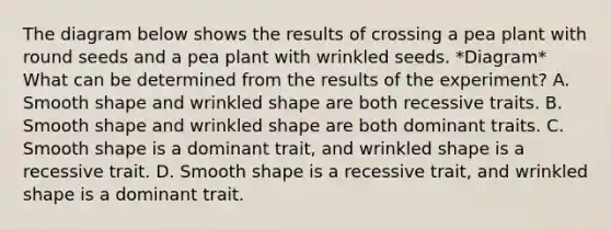 The diagram below shows the results of crossing a pea plant with round seeds and a pea plant with wrinkled seeds. *Diagram* What can be determined from the results of the experiment? A. Smooth shape and wrinkled shape are both recessive traits. B. Smooth shape and wrinkled shape are both dominant traits. C. Smooth shape is a dominant trait, and wrinkled shape is a recessive trait. D. Smooth shape is a recessive trait, and wrinkled shape is a dominant trait.