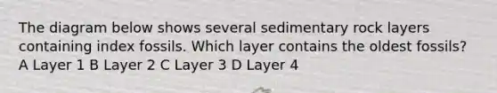 The diagram below shows several sedimentary rock layers containing index fossils. Which layer contains the oldest fossils? A Layer 1 B Layer 2 C Layer 3 D Layer 4