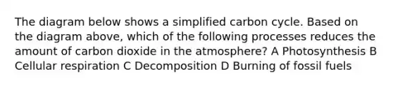 The diagram below shows a simplified carbon cycle. Based on the diagram above, which of the following processes reduces the amount of carbon dioxide in the atmosphere? A Photosynthesis B <a href='https://www.questionai.com/knowledge/k1IqNYBAJw-cellular-respiration' class='anchor-knowledge'>cellular respiration</a> C Decomposition D Burning of fossil fuels