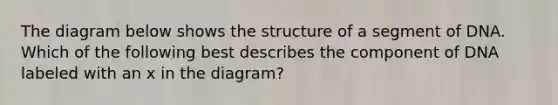 The diagram below shows the structure of a segment of DNA. Which of the following best describes the component of DNA labeled with an x in the diagram?