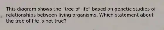 This diagram shows the "tree of life" based on genetic studies of relationships between living organisms. Which statement about the tree of life is not true?