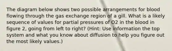 The diagram below shows two possible arrangements for blood flowing through the <a href='https://www.questionai.com/knowledge/kU8LNOksTA-gas-exchange' class='anchor-knowledge'>gas exchange</a> region of a gill. What is a likely sequence of values for partial pressures of O2 in <a href='https://www.questionai.com/knowledge/k7oXMfj7lk-the-blood' class='anchor-knowledge'>the blood</a> in figure 2, going from left to right? (Hint: Use information the top system and what you know about diffusion to help you figure out the most likely values.)