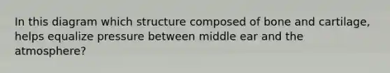 In this diagram which structure composed of bone and cartilage, helps equalize pressure between middle ear and the atmosphere?