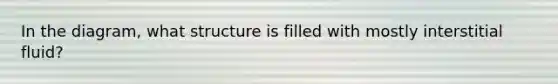 In the diagram, what structure is filled with mostly interstitial fluid?
