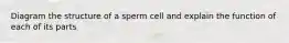 Diagram the structure of a sperm cell and explain the function of each of its parts