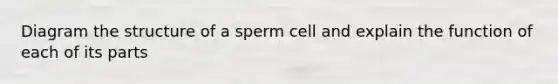 Diagram the structure of a sperm cell and explain the function of each of its parts