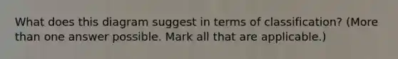 What does this diagram suggest in terms of classification? (More than one answer possible. Mark all that are applicable.)