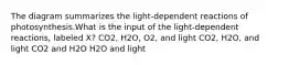 The diagram summarizes the light-dependent reactions of photosynthesis.What is the input of the light-dependent reactions, labeled X? CO2, H2O, O2, and light CO2, H2O, and light CO2 and H2O H2O and light