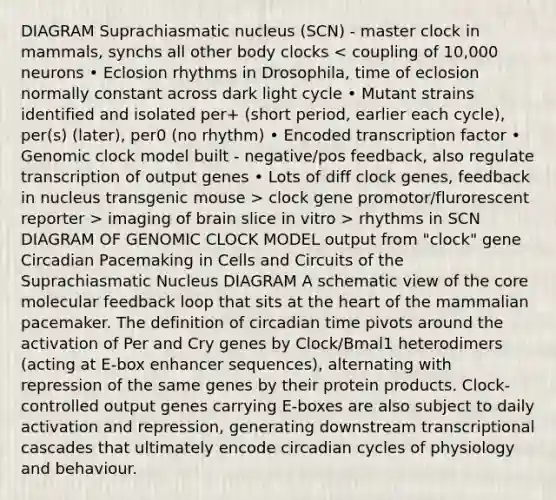 DIAGRAM Suprachiasmatic nucleus (SCN) - master clock in mammals, synchs all other body clocks clock gene promotor/flurorescent reporter > imaging of brain slice in vitro > rhythms in SCN DIAGRAM OF GENOMIC CLOCK MODEL output from "clock" gene Circadian Pacemaking in Cells and Circuits of the Suprachiasmatic Nucleus DIAGRAM A schematic view of <a href='https://www.questionai.com/knowledge/kD8KqkX2aO-the-core' class='anchor-knowledge'>the core</a> molecular feedback loop that sits at <a href='https://www.questionai.com/knowledge/kya8ocqc6o-the-heart' class='anchor-knowledge'>the heart</a> of the mammalian pacemaker. The definition of circadian time pivots around the activation of Per and Cry genes by Clock/Bmal1 heterodimers (acting at E‐box enhancer sequences), alternating with repression of the same genes by their protein products. Clock‐controlled output genes carrying E‐boxes are also subject to daily activation and repression, generating downstream transcriptional cascades that ultimately encode circadian cycles of physiology and behaviour.