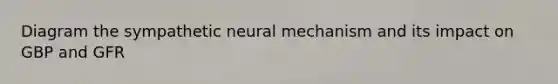 Diagram the sympathetic neural mechanism and its impact on GBP and GFR