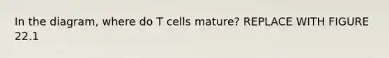 In the diagram, where do T cells mature? REPLACE WITH FIGURE 22.1