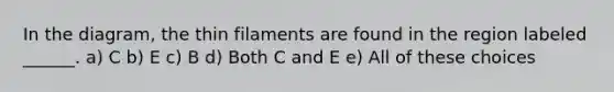 In the diagram, the thin filaments are found in the region labeled ______. a) C b) E c) B d) Both C and E e) All of these choices