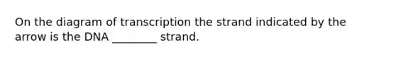 On the diagram of transcription the strand indicated by the arrow is the DNA ________ strand.