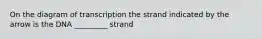 On the diagram of transcription the strand indicated by the arrow is the DNA _________ strand