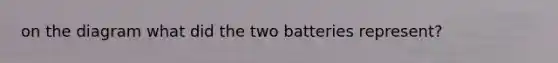 on the diagram what did the two batteries represent?