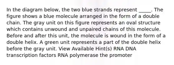 In the diagram below, the two blue strands represent _____. The figure shows a blue molecule arranged in the form of a double chain. The gray unit on this figure represents an oval structure which contains unwound and unpaired chains of this molecule. Before and after this unit, the molecule is wound in the form of a double helix. A green unit represents a part of the double helix before the gray unit. View Available Hint(s) RNA DNA transcription factors RNA polymerase the promoter