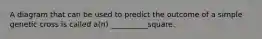 A diagram that can be used to predict the outcome of a simple genetic cross is called a(n) __________square.