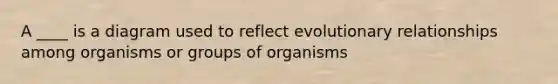 A ____ is a diagram used to reflect evolutionary relationships among organisms or groups of organisms