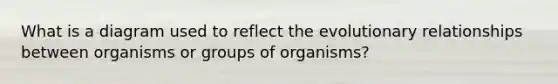 What is a diagram used to reflect the evolutionary relationships between organisms or groups of organisms?