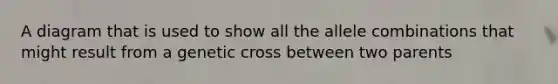 A diagram that is used to show all the allele combinations that might result from a genetic cross between two parents