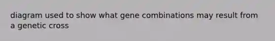 diagram used to show what gene combinations may result from a genetic cross