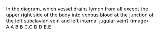 In the diagram, which vessel drains lymph from all except the upper right side of the body into venous blood at the junction of the left subclavian vein and left internal jugular vein? (image) A.A B.B C.C D.D E.E