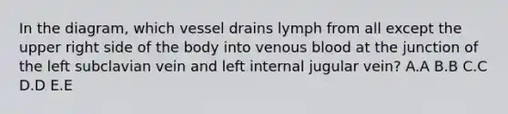 In the diagram, which vessel drains lymph from all except the upper right side of the body into venous blood at the junction of the left subclavian vein and left internal jugular vein? A.A B.B C.C D.D E.E