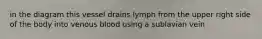 in the diagram this vessel drains lymph from the upper right side of the body into venous blood using a sublavian vein